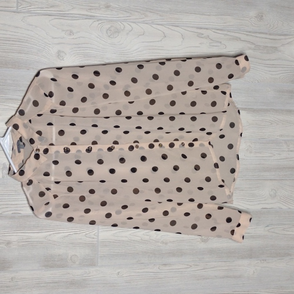 Sheer Polka Dot Blouse